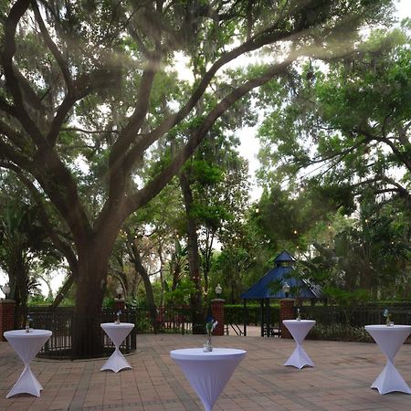 Hilton Garden Inn Tampa East Brandon Mango Luaran gambar