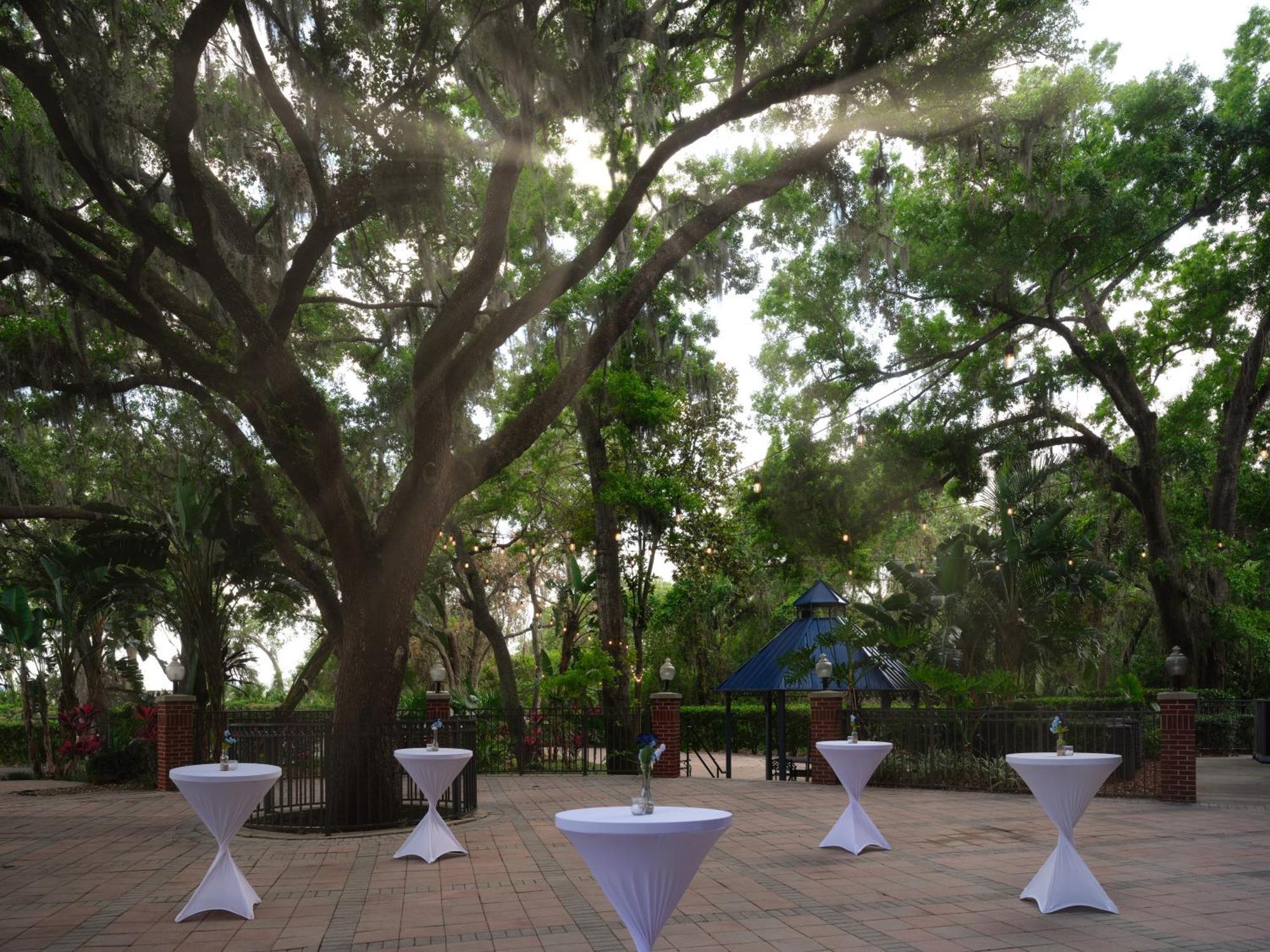 Hilton Garden Inn Tampa East Brandon Mango Luaran gambar