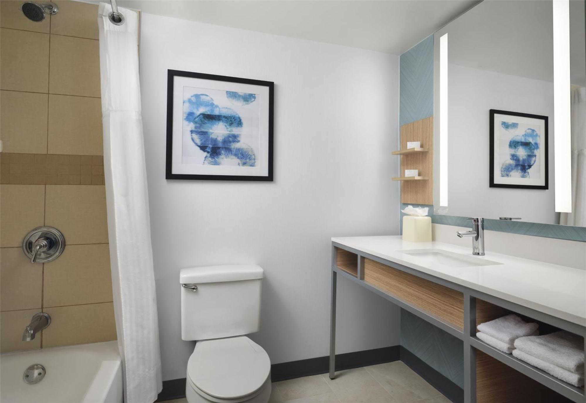Hilton Garden Inn Tampa East Brandon Mango Luaran gambar
